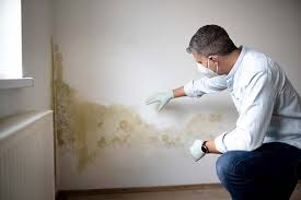 Best Post-Construction Mold Inspection  in Clinton, WA